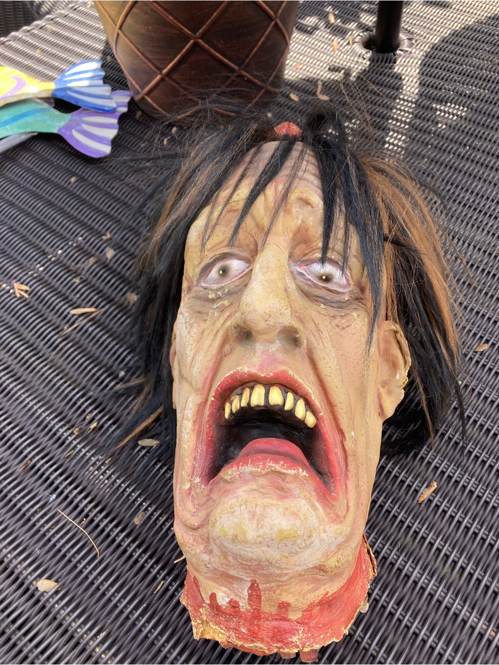 Don post Halloween prop of severed head